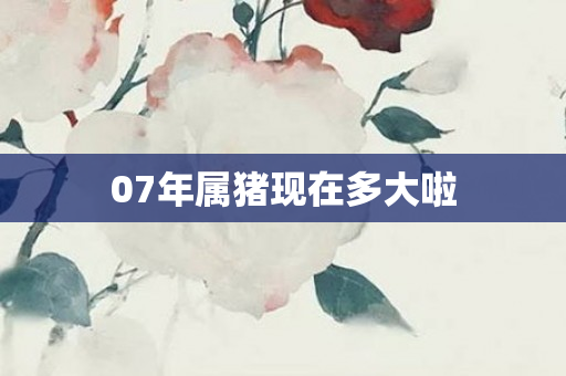 07年属猪现在多大啦