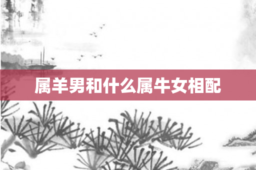 属羊男和什么属牛女相配