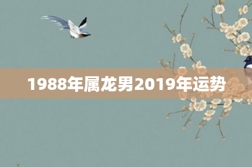 1988年属龙男2019年运势