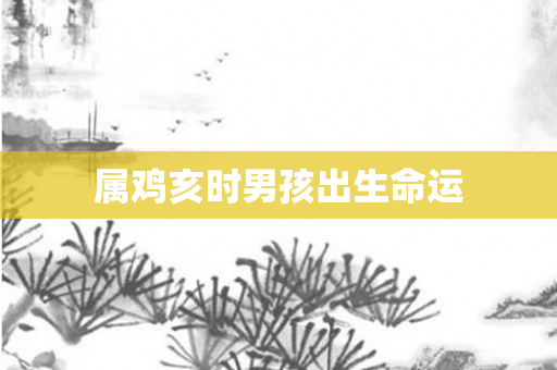 属鸡亥时男孩出生命运