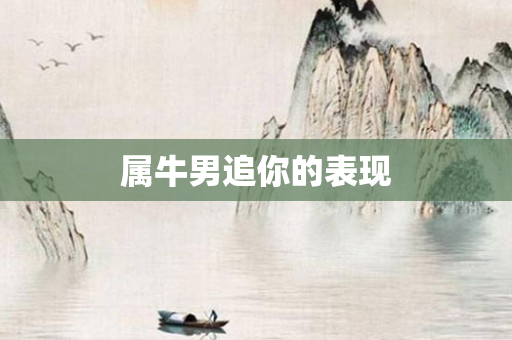 属牛男追你的表现