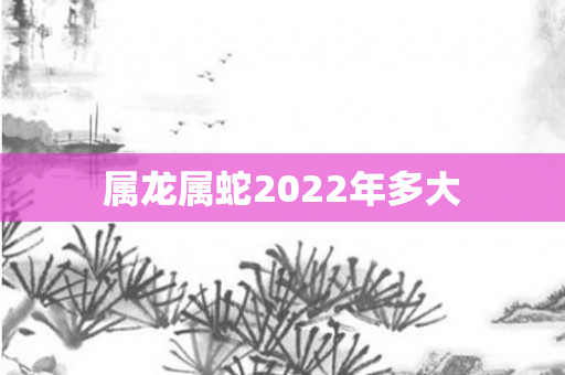 属龙属蛇2022年多大