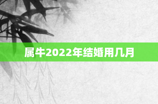属牛2022年结婚用几月