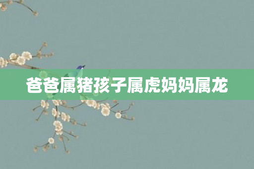 爸爸属猪孩子属虎妈妈属龙