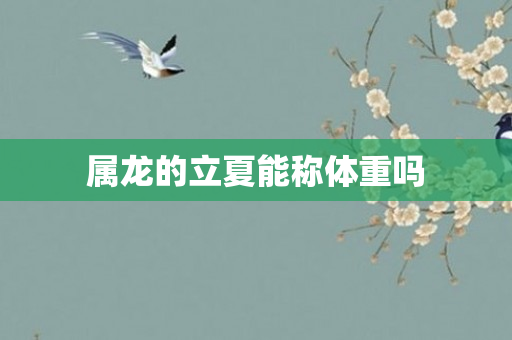 属龙的立夏能称体重吗
