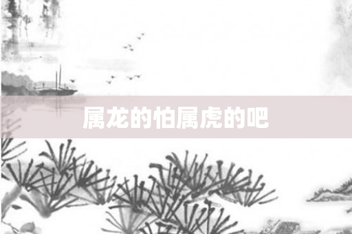 属龙的怕属虎的吧