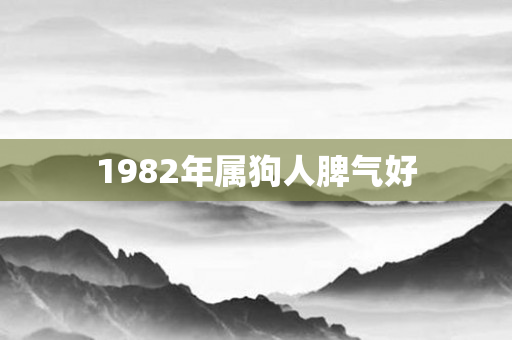 1982年属狗人脾气好