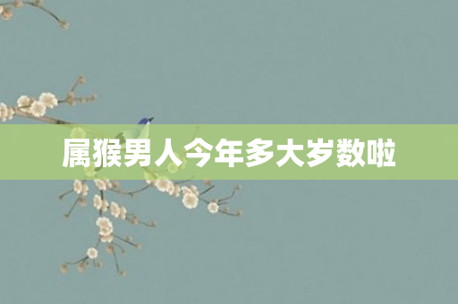 属猴男人今年多大岁数啦