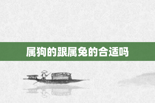 属狗的跟属兔的合适吗