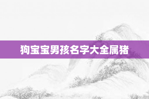 狗宝宝男孩名字大全属猪