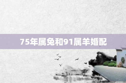 75年属兔和91属羊婚配
