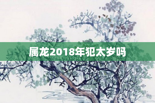 属龙2018年犯太岁吗