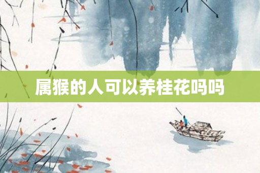 属猴的人可以养桂花吗吗