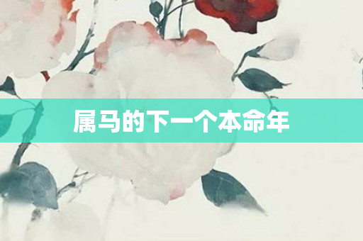 属马的下一个本命年