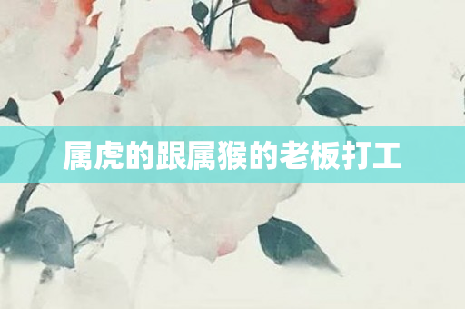 属虎的跟属猴的老板打工