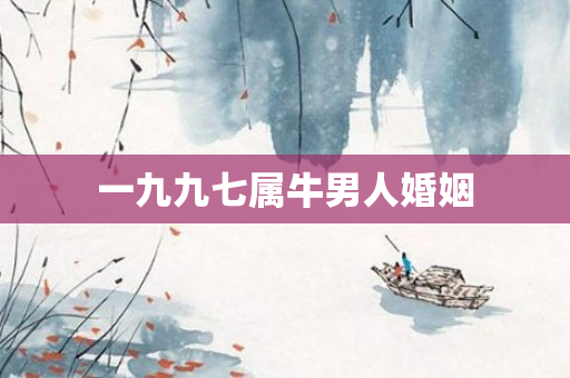 一九九七属牛男人婚姻