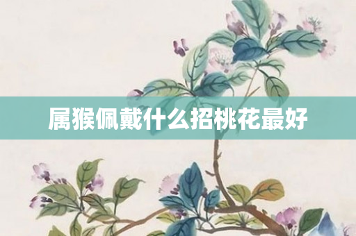 属猴佩戴什么招桃花更好