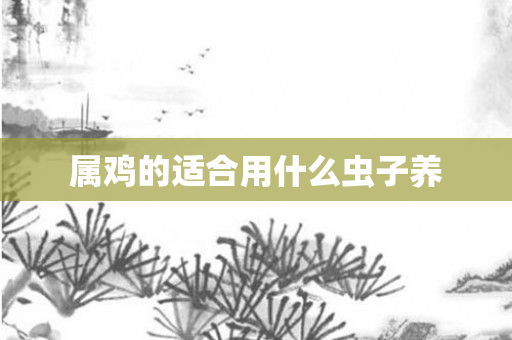 属鸡的适合用什么虫子养