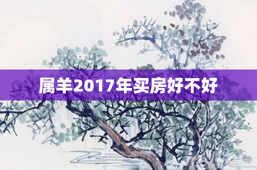 属羊2017年买房好不好