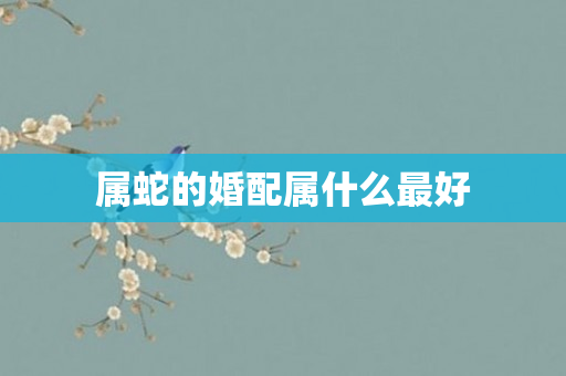 属蛇的婚配属什么更好