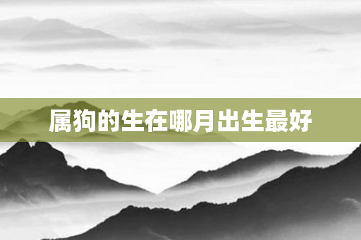 属狗的生在哪月出生更好