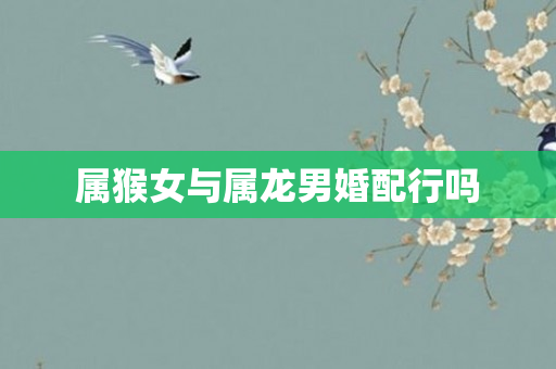 属猴女与属龙男婚配行吗