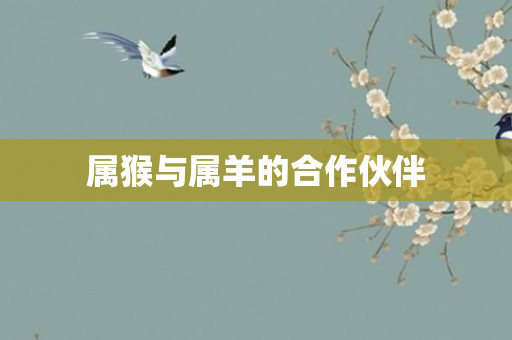 属猴与属羊的合作伙伴