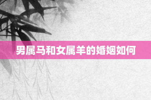 男属马和女属羊的婚姻如何