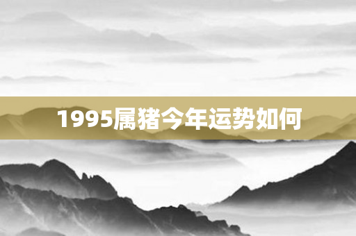 1995属猪今年运势如何