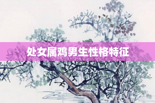 处女属鸡男生性格特征