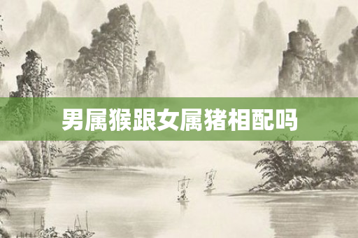 男属猴跟女属猪相配吗