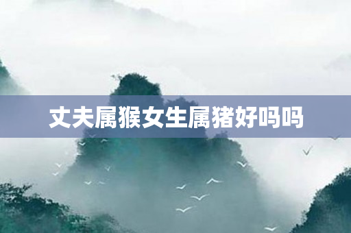丈夫属猴女生属猪好吗吗
