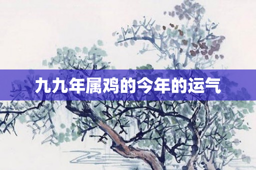 九九年属鸡的今年的运气