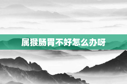 属猴肠胃不好怎么办呀