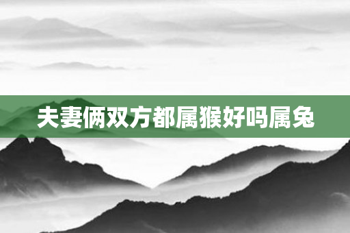 夫妻俩双方都属猴好吗属兔