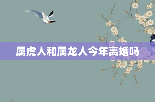 属虎人和属龙人今年离婚吗