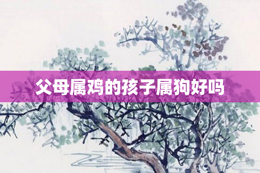 父母属鸡的孩子属狗好吗
