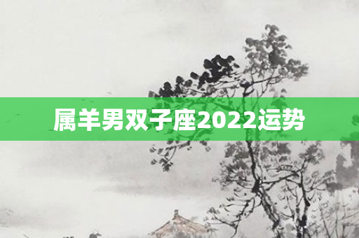 属羊男双子座2022运势