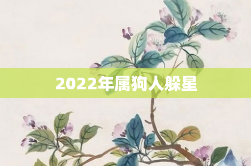 2022年属狗人躲星