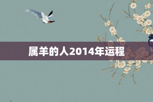 属羊的人2014年运程