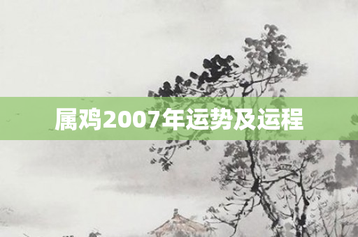 属鸡2007年运势及运程