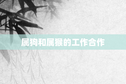 属狗和属猴的工作合作