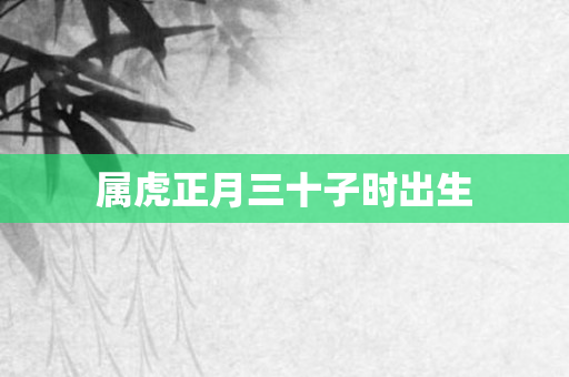 属虎正月三十子时出生