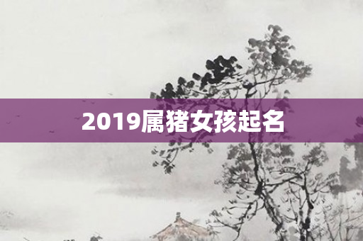 2019属猪女孩起名