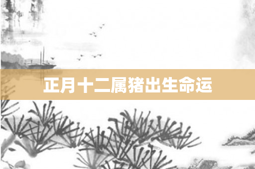 正月十二属猪出生命运
