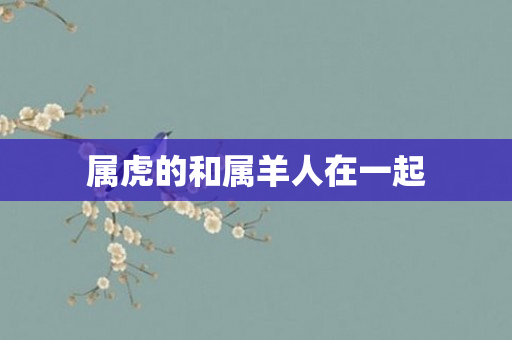 属虎的和属羊人在一起