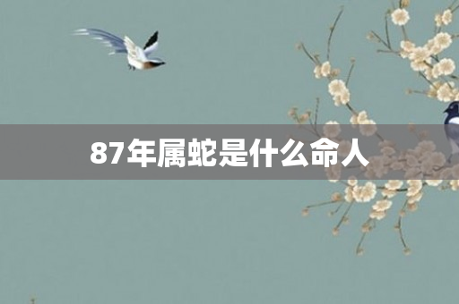 87年属蛇是什么命人
