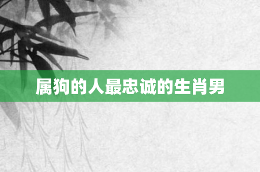 属狗的人最忠诚的生肖男