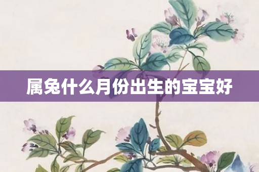 属兔什么月份出生的宝宝好