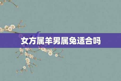 女方属羊男属兔适合吗